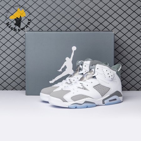 Air Jordan 6 Cool Grey CT8529-100 Size 40-47.5