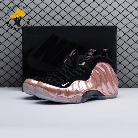 Nike Air Foamposite One Rust Pink 314996 602 Size 40-47.5